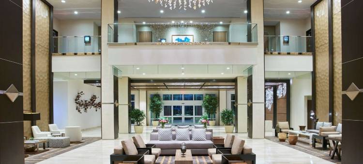 西棕榈滩希尔顿酒店(Hilton West Palm Beach)图片