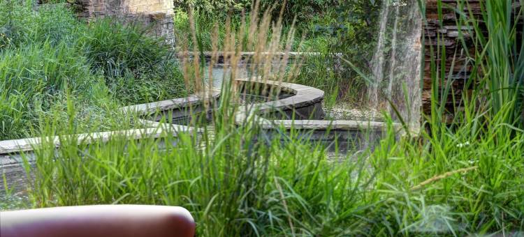 多伦多机场喜来登酒店及会议中心(Sheraton Toronto Airport Hotel & Conference Centre)图片