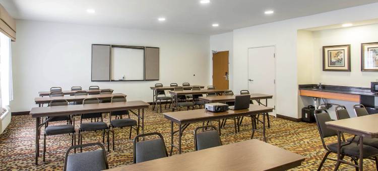 舒眠酒店及套房-士麦那-纳什维尔(Sleep Inn & Suites Smyrna - Nashville)图片