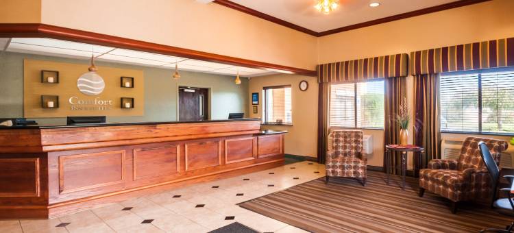 东北镇套房舒适酒店(Comfort Inn & Suites)图片