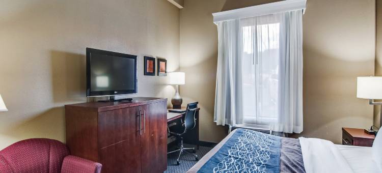 克里斯琴斯堡 I-81 舒适套房酒店(Comfort Inn & Suites Christiansburg I-81)图片