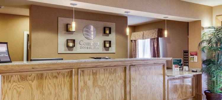 弗雷德里克斯堡舒适套房酒店(Comfort Inn and Suites Fredericksburg)图片