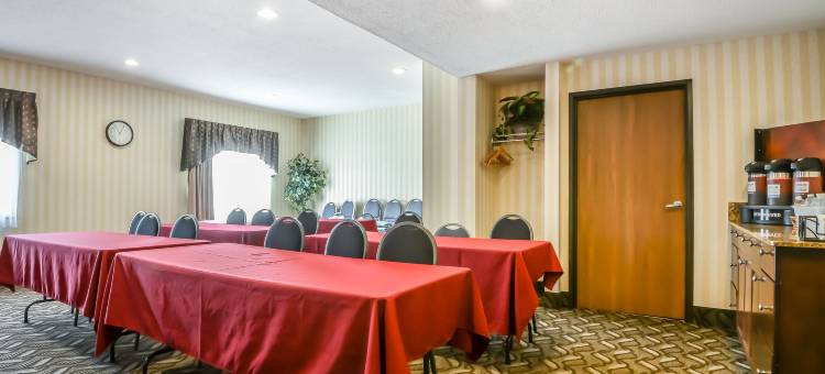 巴达维亚 - 达瑞恩主题乐园菲布丽套房旅店(FairBridge Inn & Suites Batavia-Darien Amusement Park)图片