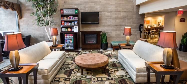 橡树溪阳台近橡树溪中心舒适全套房酒店(Comfort Suites Oakbrook Terrace Near Oakbrook Center)图片