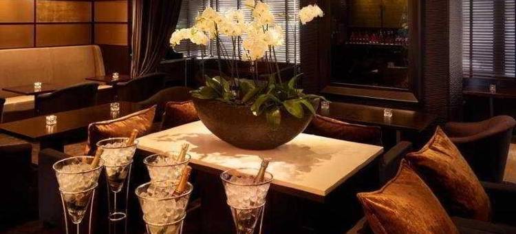 巴黎瑟拉别墅酒店(Villathena Paris)图片