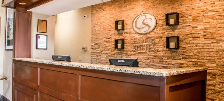 纽布朗费尔斯舒适套房酒店(Comfort Suites)图片