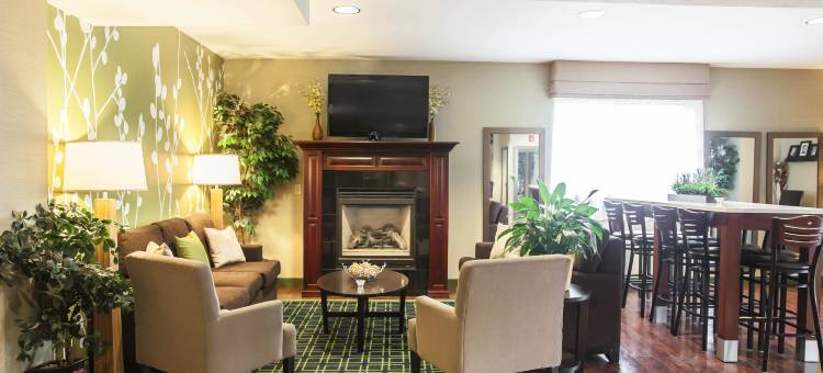 舒眠套房酒店(Sleep Inn & Suites)图片