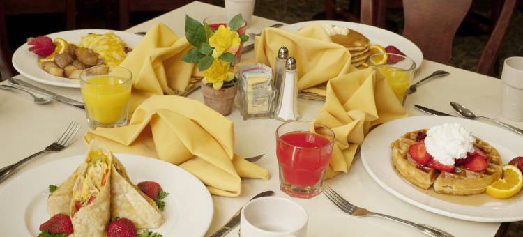 IBAN达拉斯中央公园酒店，温德姆Trademark精选(Dallas Park Central Hotel)图片