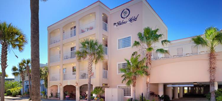 棕榈海滨酒店(The Palms Oceanfront Hotel)图片