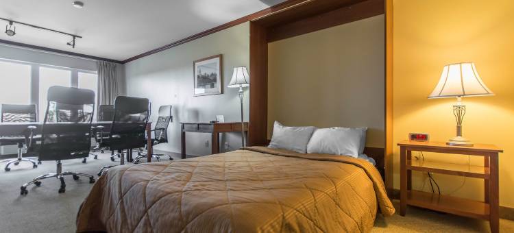 圣杰罗姆舒适酒店(Comfort Inn & Suites)图片