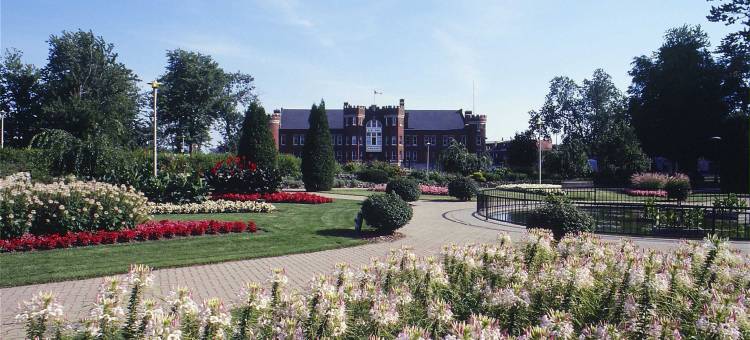 查塔姆群岛舒适酒店(Comfort Inn)图片