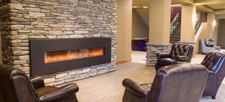 品质酒店及会议中心(Quality Hotel & Conference Centre)图片