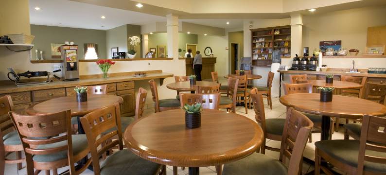 阿姆斯特丹蒙克顿套房酒店(Amsterdam Inn & Suites Moncton)图片