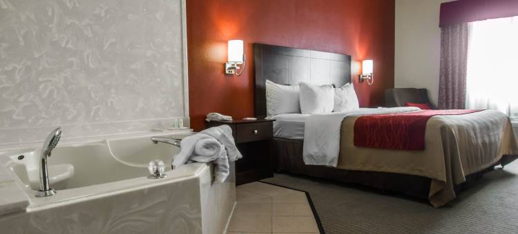 比洛克西/海泉蔚景温德姆酒店(Wingate by Wyndham Biloxi/Ocean Springs)图片