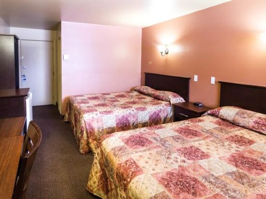 阿迪达斯(f.x. lamontagne sports excellence)