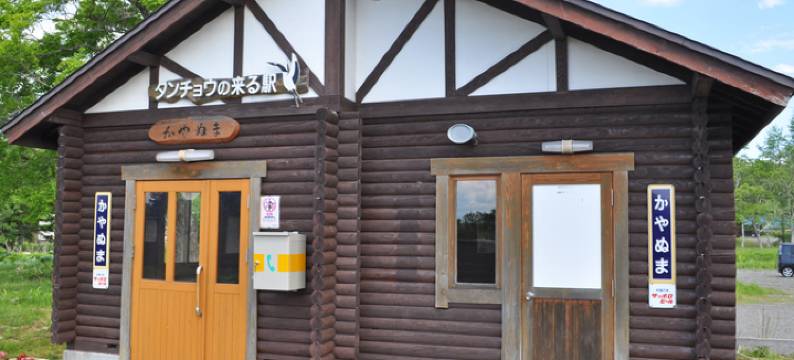 湿原公园之家　茅草沼(Pon Ponyu，Kayanuma)图片