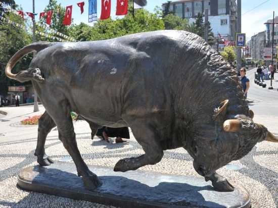 3/5                  good(42reviews) rasimpaa mahallesi misaki