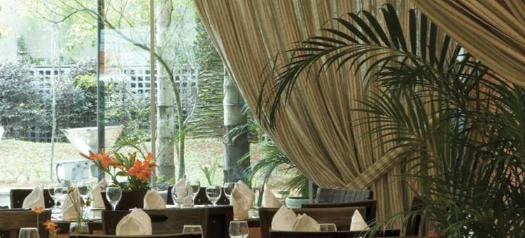 圣保罗伊比拉布埃拉城际酒店(Intercity São Paulo Ibirapuera)图片