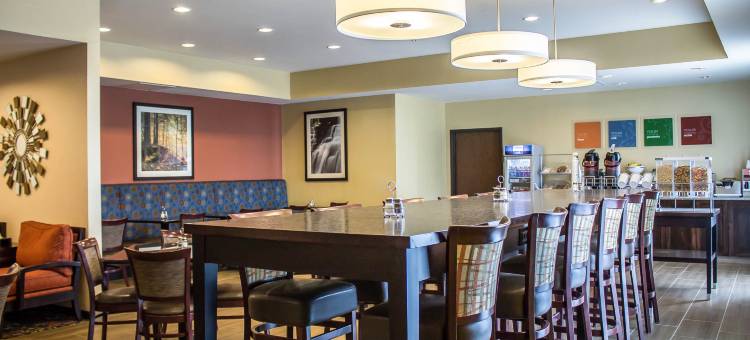 舒适酒店(Comfort Inn)图片