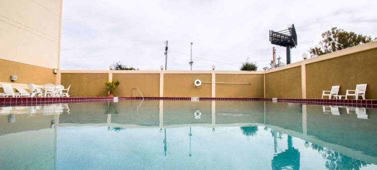 假日酒店奥兰多北冬季公园 by IHG(Holiday Inn Orlando North Winter Park by IHG)图片