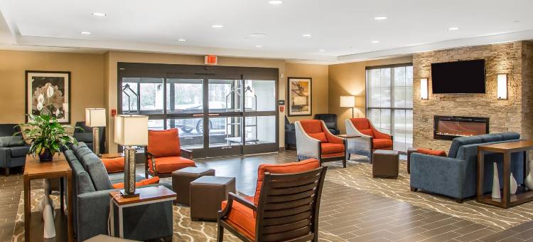 舒适酒店(Comfort Inn)图片