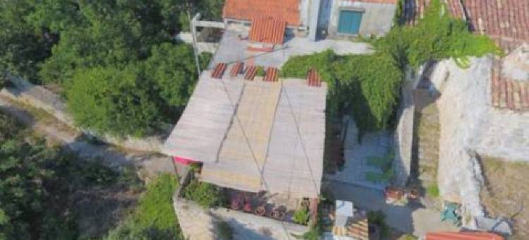 Calypso's Cave the Apartment for Animal Lovers图片