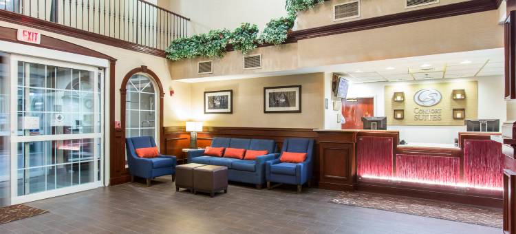 纽瓦克哈里森舒适套房酒店(Comfort Suites Newark - Harrison)图片