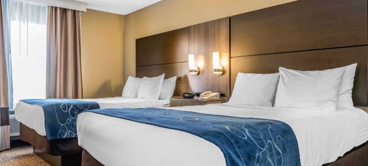 迈阿密斯堡-南代顿舒适全套房酒店(Comfort Suites Miamisburg - Dayton South)图片