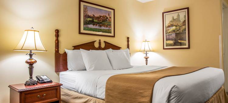 奇罗凯艺酒店(Quality Inn Cheraw)图片