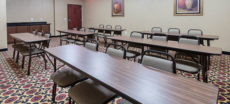 舒适套房酒店(Comfort Suites)图片