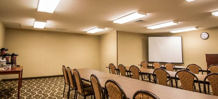 舒适套房酒店(Comfort Inn & Suites)图片