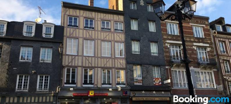 尚普兰一室公寓(Le Studio Champlain)图片