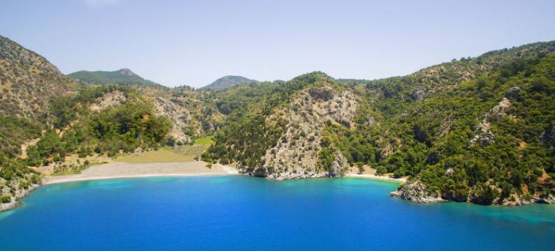 达利安米开朗基罗精品酒店(Michelangelo Boutique Hotel)图片