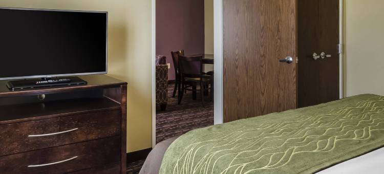 希尔顿多森Spark(Spark by Hilton Dothan)图片