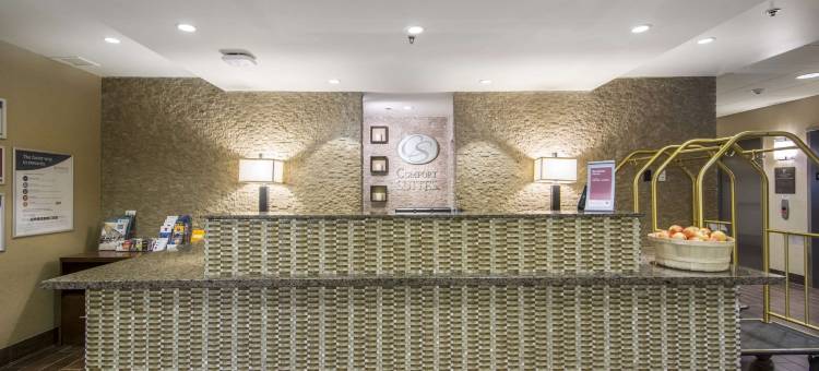 舒适套房酒店(Comfort Suites)图片