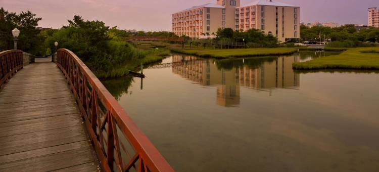 椰子马洛里度假村大洋城，Ascend Collection 酒店(Coconut Malorie Resort Ocean City, Ascend Collection Hotel)图片