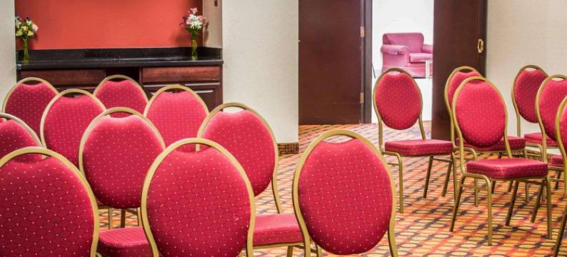 凯艺套房酒店(Quality Inn & Suites)图片