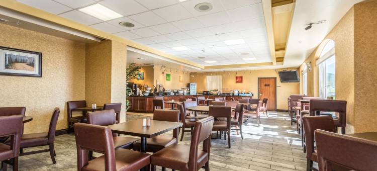 舒适套房(Comfort Inn & Suites)图片