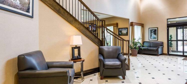 舒适套房酒店(Comfort Inn & Suites)图片