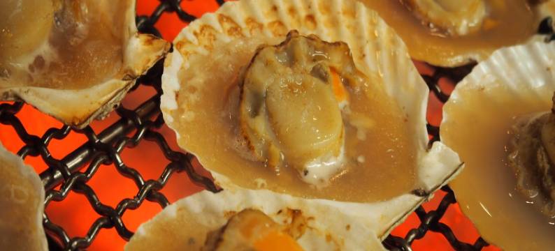 北海道小樽多美迎高级天然温泉酒店(多美迎・御宿野乃 酒店集团)(Dormy Inn Premium Otaru Natural Hot Spring)图片