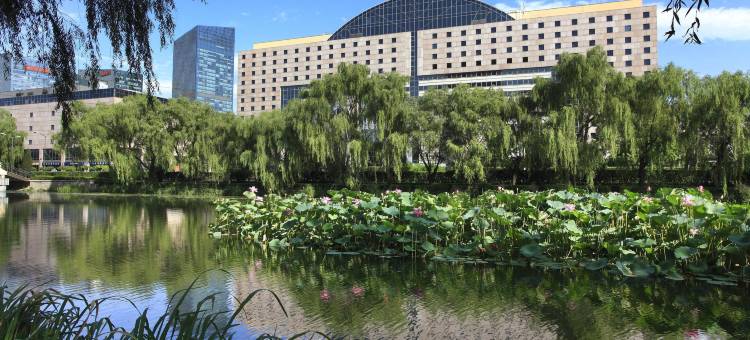 奥兰多维斯塔中心布埃纳维斯塔湖万怡酒店(Courtyard Orlando Lake Buena Vista at Vista Centre)图片