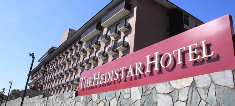 成田爱迪星大酒店(The Hedistar Hotel Narita)图片