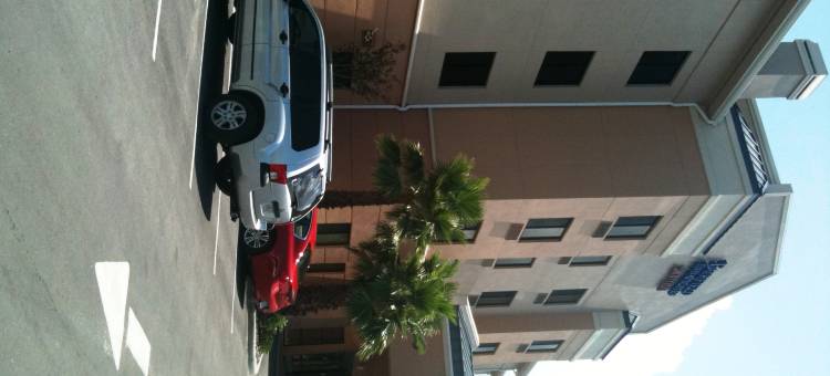 Fairfield Inn & Suites Holiday Tarpon Springs图片