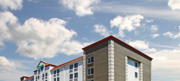 智选假日套房酒店达拉斯路易斯维尔(Holiday Inn Express & Suites Dallas Lewisville)图片