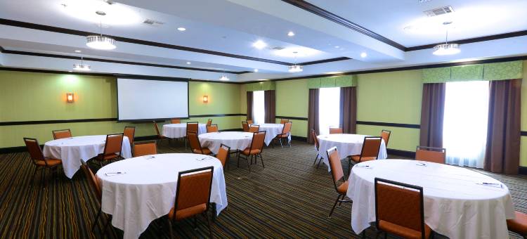 智选假日套房酒店达拉斯西(Holiday Inn Express & Suites Dallas W - I-30 Cockrell Hill)图片