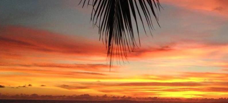 哈各海滨别墅旅馆(Hostel Beach House Jaco)图片