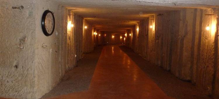 佩里城堡原生酒店(Château de Perreux, The Originals Collection)图片