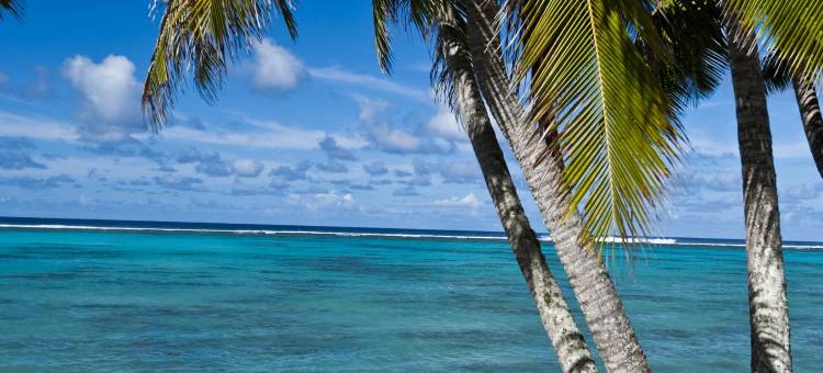 小玻利尼西亚度假酒店(Little Polynesian Resort)图片