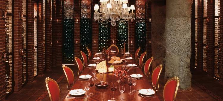 布宜诺斯艾利斯费亚娜环球酒店(Faena Hotel Buenos Aires)图片