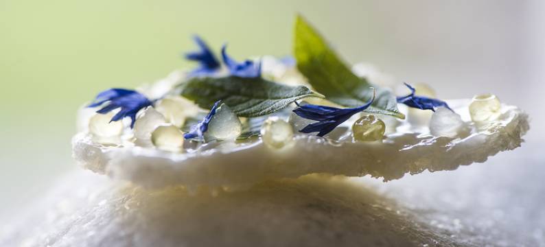 特拉神奇之地酒店(Terra - the Magic Place)图片